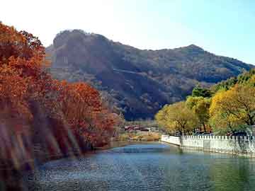 打胎药堕胎药微信购买湖北生产米非打胎药（米菲打胎药图片）